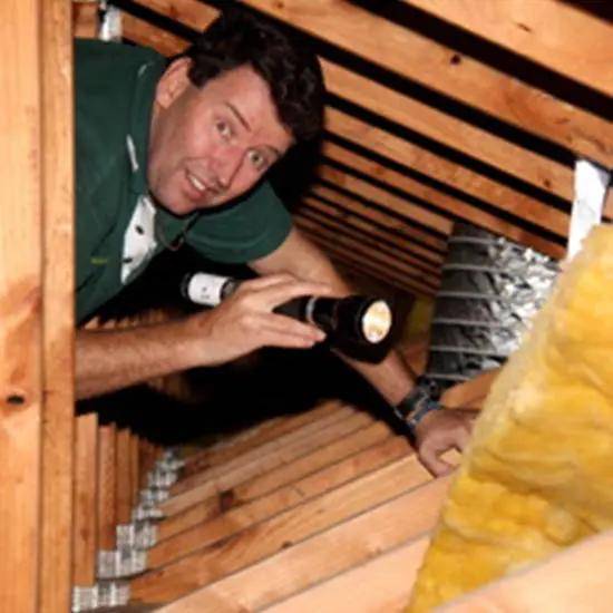 Pest control expert inspecting an attic