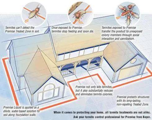 house with termites diagram 494w