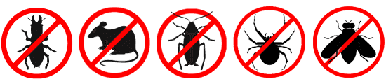 pest bugs icons for pest control site