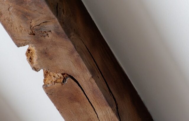 termite damage
